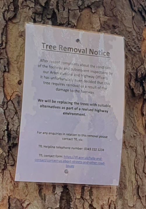Trees For Bermondsey tweet media