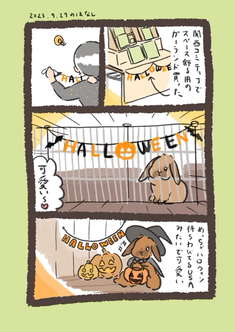 この後見つかって早速齧られかけたので他のとこに移動しました🎃

#うさぎのいる生活 