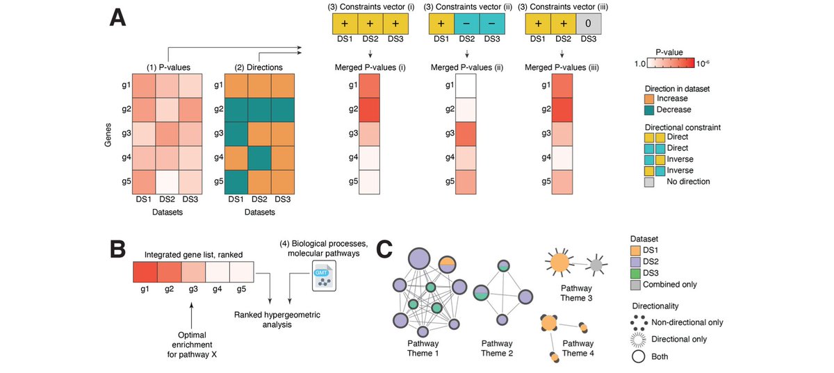 reimand's tweet photo. Our new multi-omics data integration method DPM explores understudied intersections of complex datasets by prioritising genes/proteins with consistent directional changes and penalising those with significant but inconsistent evidence. @mslob95 @ABahcheli https://t.co/xlPv1BGskq https://t.co/rwGMu1drWg