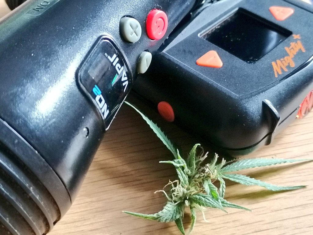 Teddy_EU_hemp's tweet photo. バポライザーなら、乾燥させずにピュア&amp;フレッシュのどんなハーブの養分も摂取できる。植物内水分や生テルペンも、温度調節で最適接種。栄養のためにも肺のためにも、燃焼より加熱式をオススメ。

#バポライザー #ヴェポライザー #加熱式  #テルペン  #mighty #mightyplus #vapir https://t.co/KpJZI1V8aQ