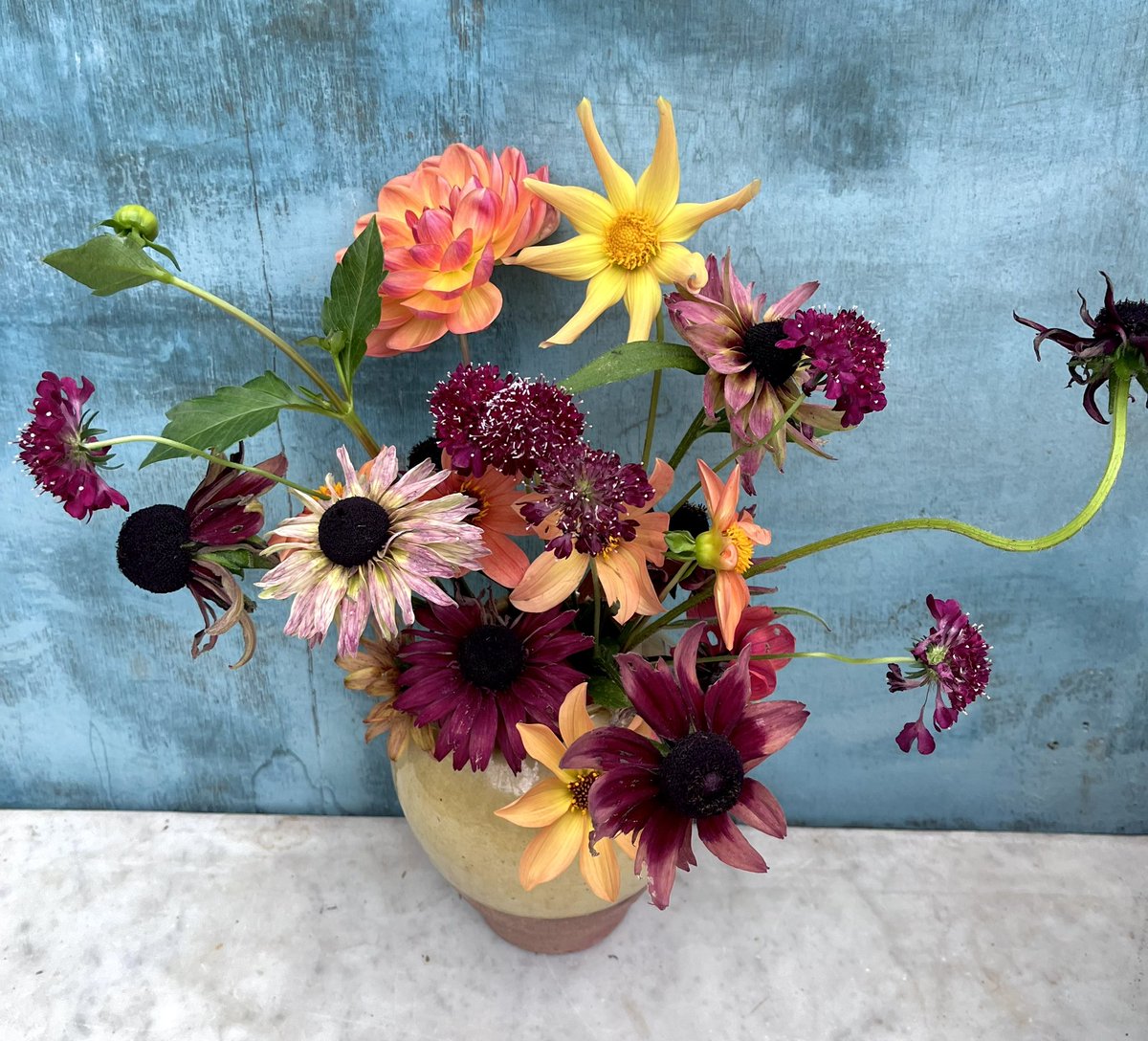 Flower faff today featuring some fading blooms, I feel it’s representing the garden at the moment. Some flowers still shining brightly and others that have had their moment. 
Hope you’ve had a lovely day and enjoy your evening 💐