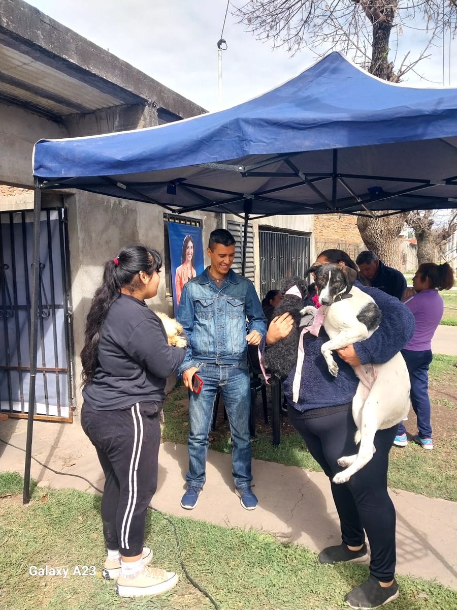 Cris_LopezA7M's tweet photo. @Agrup7Mayo Act 255: 3ra Jornada, tráiler Tucumán Mascotas, decenas de animalitos reciben los beneficios de dicho programa, todo es posible gracias al Gobierno de la PCIA. Agradecemos a las autoridades @JuanManzurOK @OsvaldoJaldo @CaroVargasTuc  Emiliano @vargas_aignasse https://t.co/HxZRqYZnkR