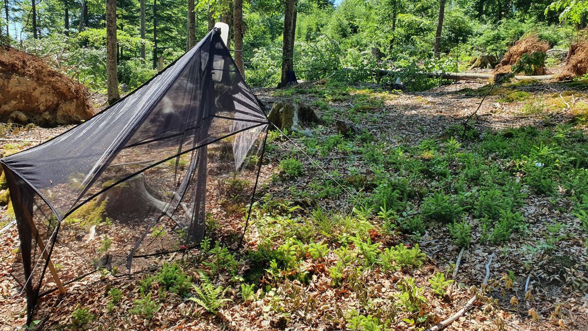 SebSeibold's tweet photo. New study on insect biomass patterns in Germany: reanalysis of the Krefeld data led by Jörg Müller @eco_FSF shows that weather conditions and anomalies explain temporal patterns including declines suggesting that climate change is already a major driver. https://t.co/lH708CHyHY https://t.co/wdXHSdiCwT
