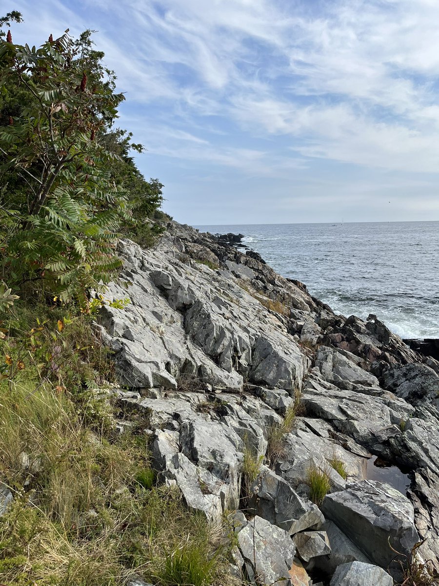 reynolds__chad's tweet photo. the Southern Maine Coast … where every picture is a freakin postcard … because #Maine
#PerkinsCove #Ogunquit #MarginalWay https://t.co/anFglpQynw