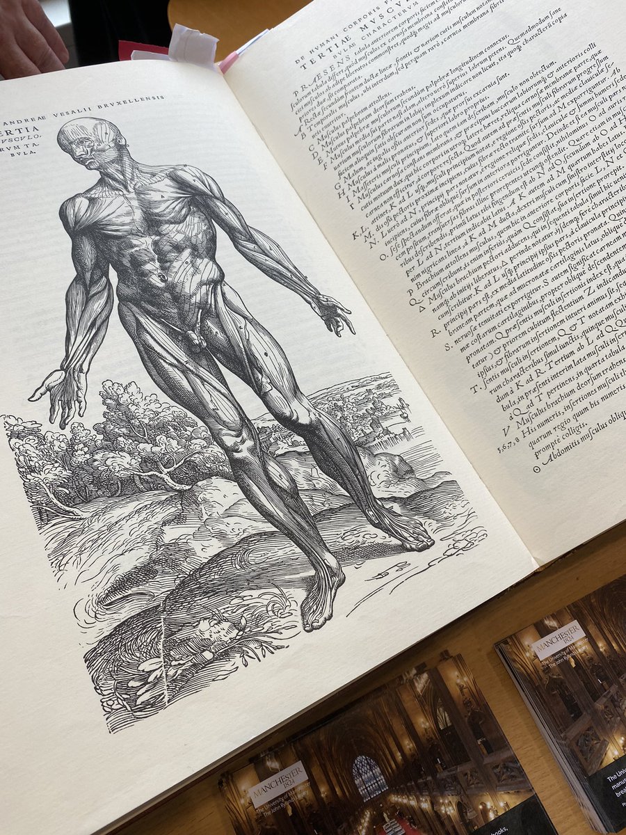 Stephanie tweet media