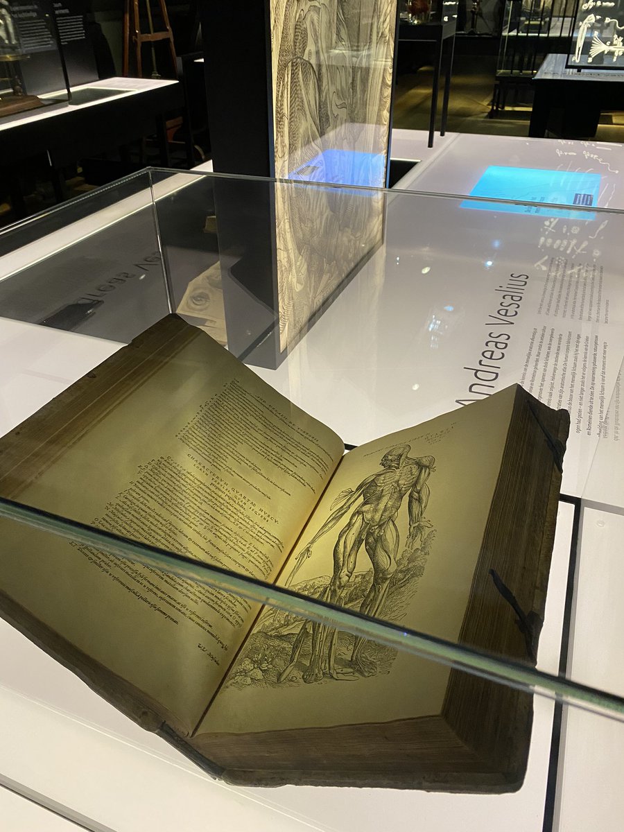 Stephanie tweet media