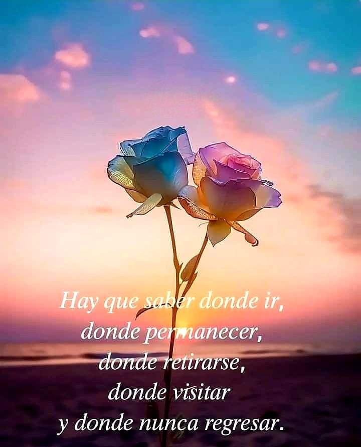 ▪︎ Hay que saber...