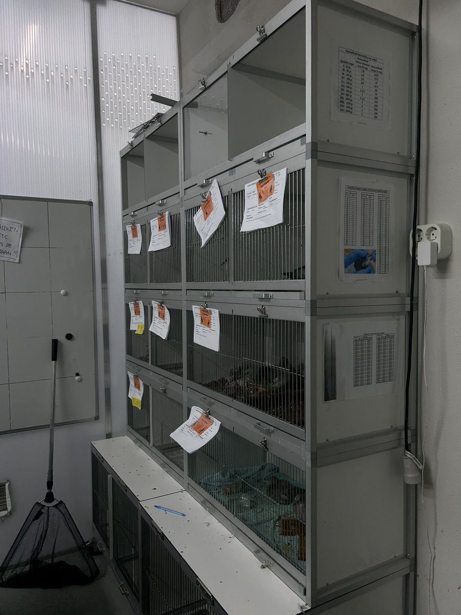 Carin Tawfik tweet media