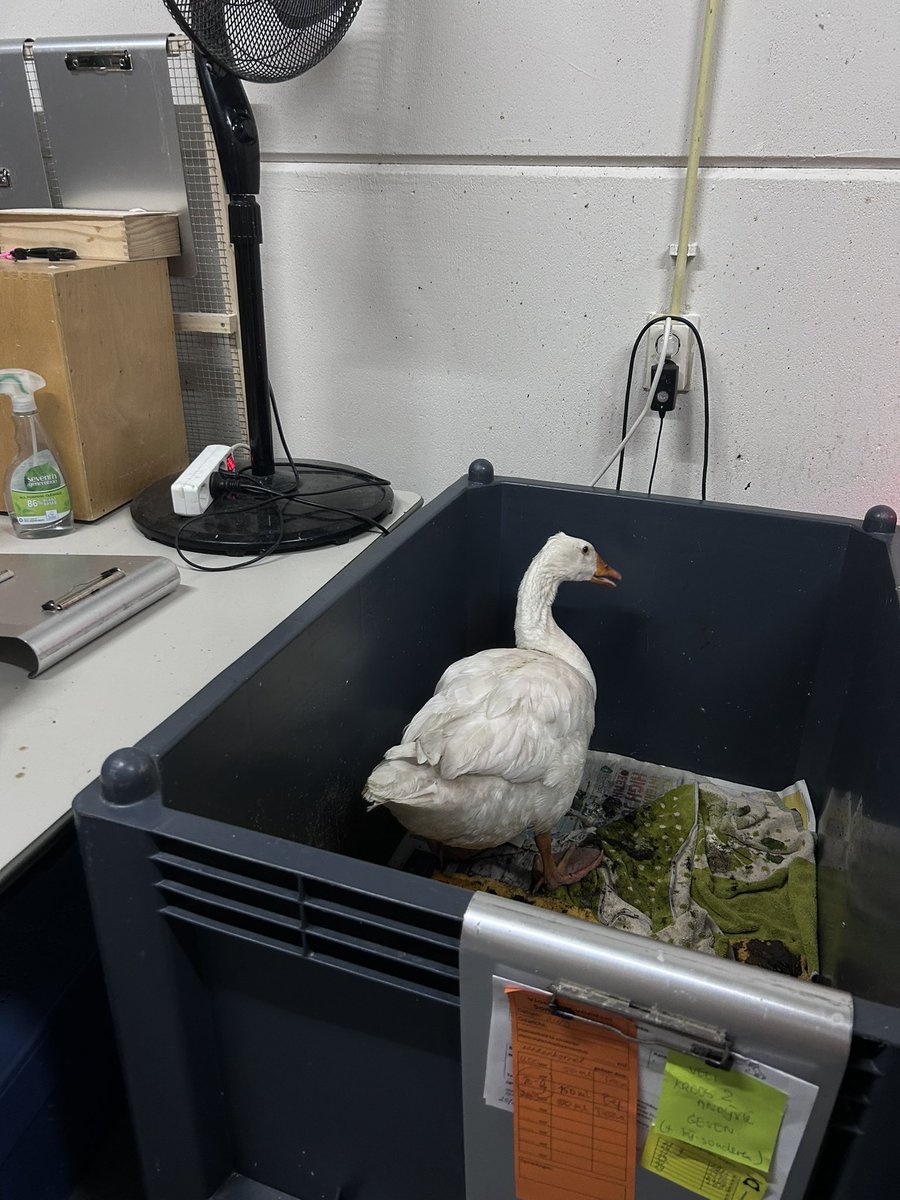 Carin Tawfik tweet media