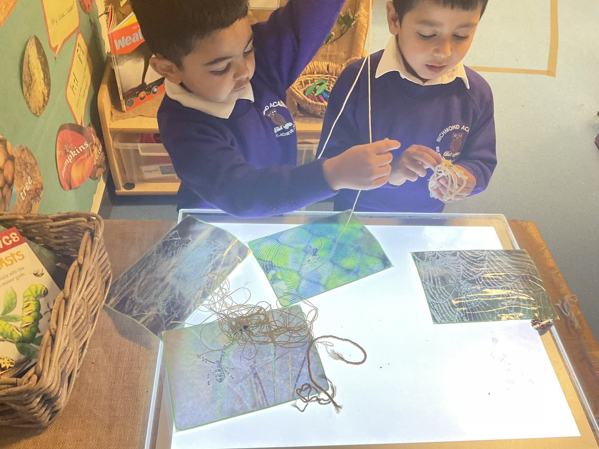 The children have been fascinated with spiders after meeting a few unexpected guests taking shelter from the cold in our reading area 🕷️ This morning we looked at how spiders webs are made and had a go making our own!🕸️