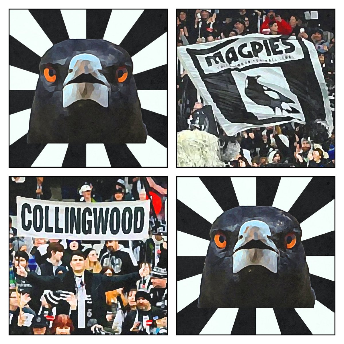 ArsenalAu's tweet photo. @CollingwoodFC @CollingwoodAFLW #AFLGF 

🔥🔥🔥🔥🔥🔥🔥🔥🔥🔥🔥🔥🔥🔥🔥🔥 https://t.co/lb7tiVH7Ix