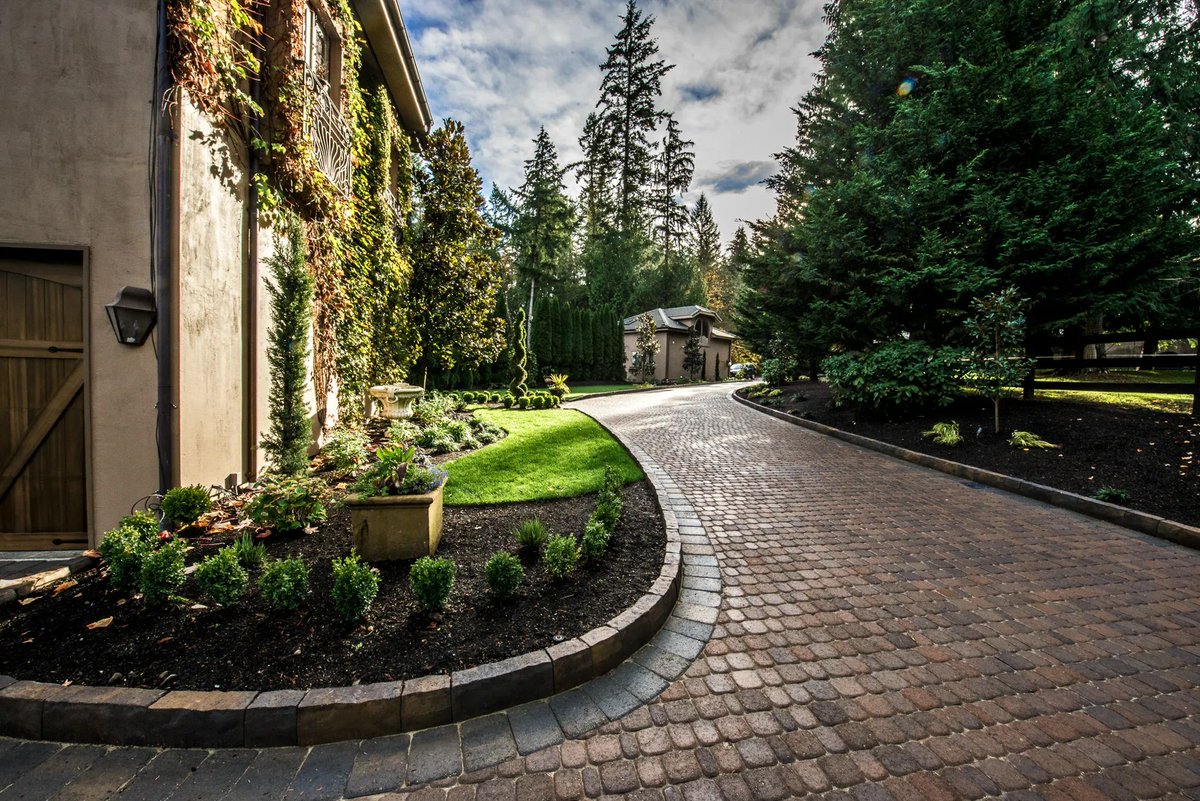 Mutual Materials tweet media