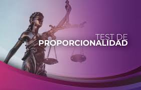 erick_mena's tweet photo. Hilo 🧵sobre el Test de Proporcionalidad https://t.co/dQfcSSixZW