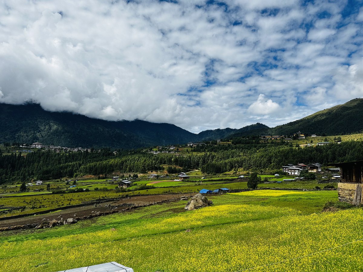MohammadYounus_'s tweet photo. Happy #WorldTourismDay from the serene &amp; pristine valley of Phobjikha, one of the many breathtakingly beautiful places in the Land of Thunder Dragon 🇧🇹. @UNDP_Bhutan is working with @tourismbhutan to invest in people, planet &amp; prosperity by promoting #ecotourism in #Bhutan. https://t.co/ciS2SbHze2