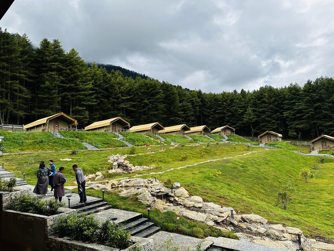 MohammadYounus_'s tweet photo. Happy #WorldTourismDay from the serene &amp; pristine valley of Phobjikha, one of the many breathtakingly beautiful places in the Land of Thunder Dragon 🇧🇹. @UNDP_Bhutan is working with @tourismbhutan to invest in people, planet &amp; prosperity by promoting #ecotourism in #Bhutan. https://t.co/ciS2SbHze2