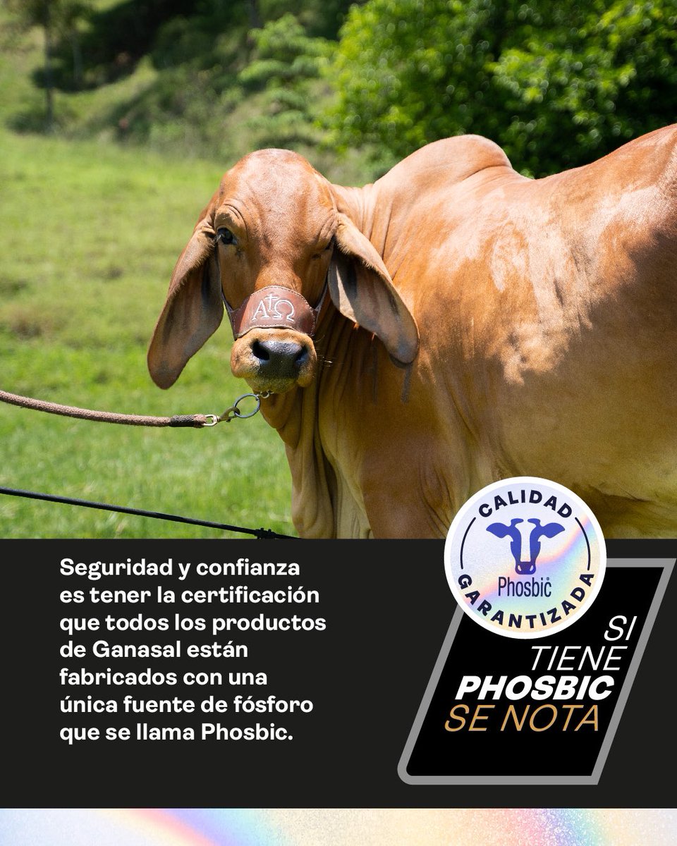 ganasal's tweet photo. Calidad garantizada con Phosbic, para un ganado que te llena de orgullo. https://t.co/btrz78bLNQ