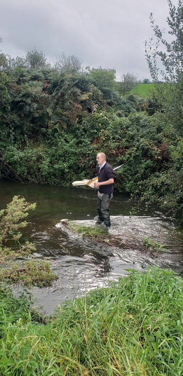 Stephen Hutton tweet media