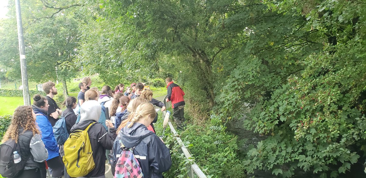 Stephen Hutton tweet media