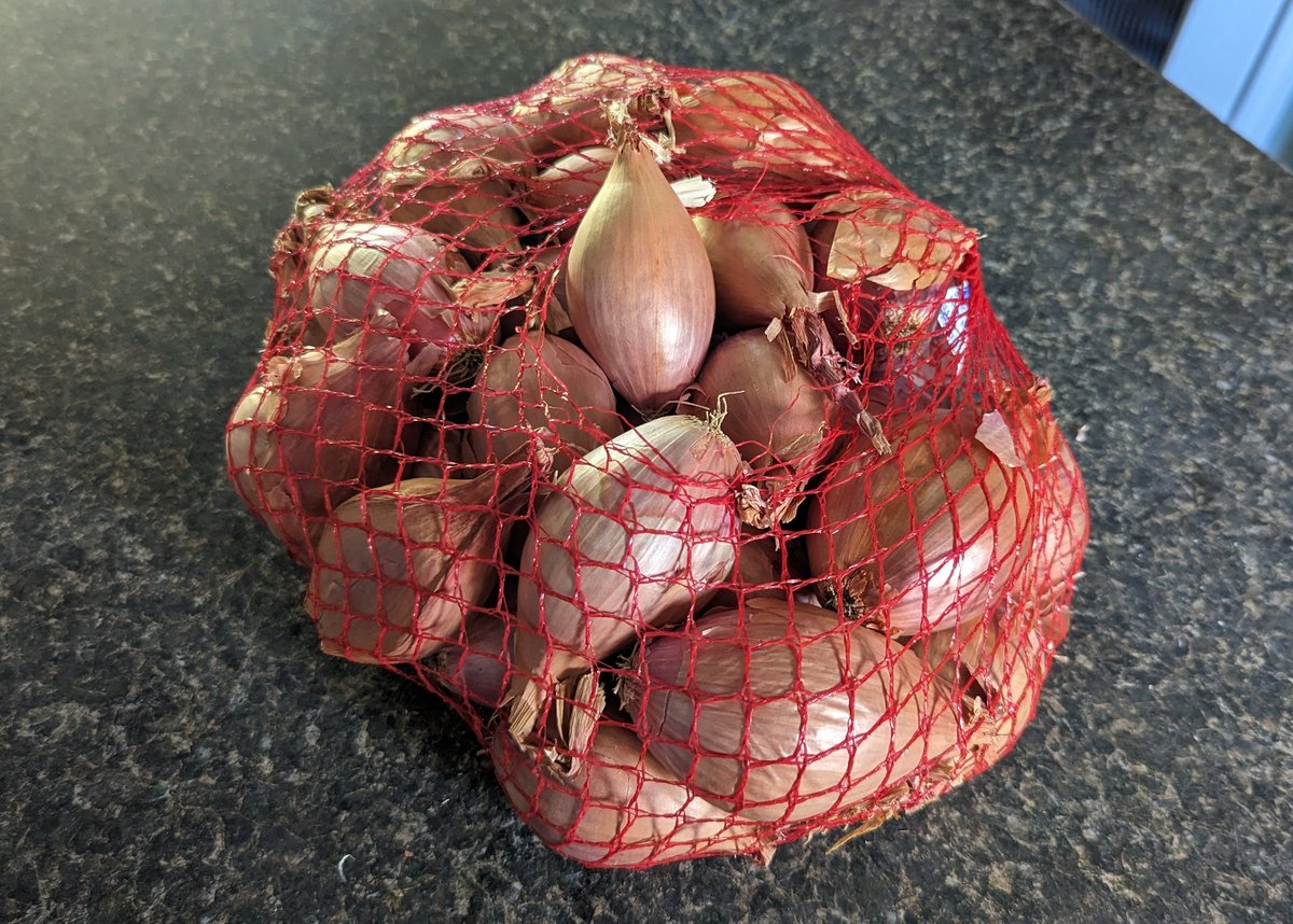 Tip: At most grocery stores, shallots are a dollar or more each. Head down to the Asian market. 5 pound bag, $10. 
For the Saskatchewan folks anyways, not sure what it is like elsewhere, but you may want to check it out..