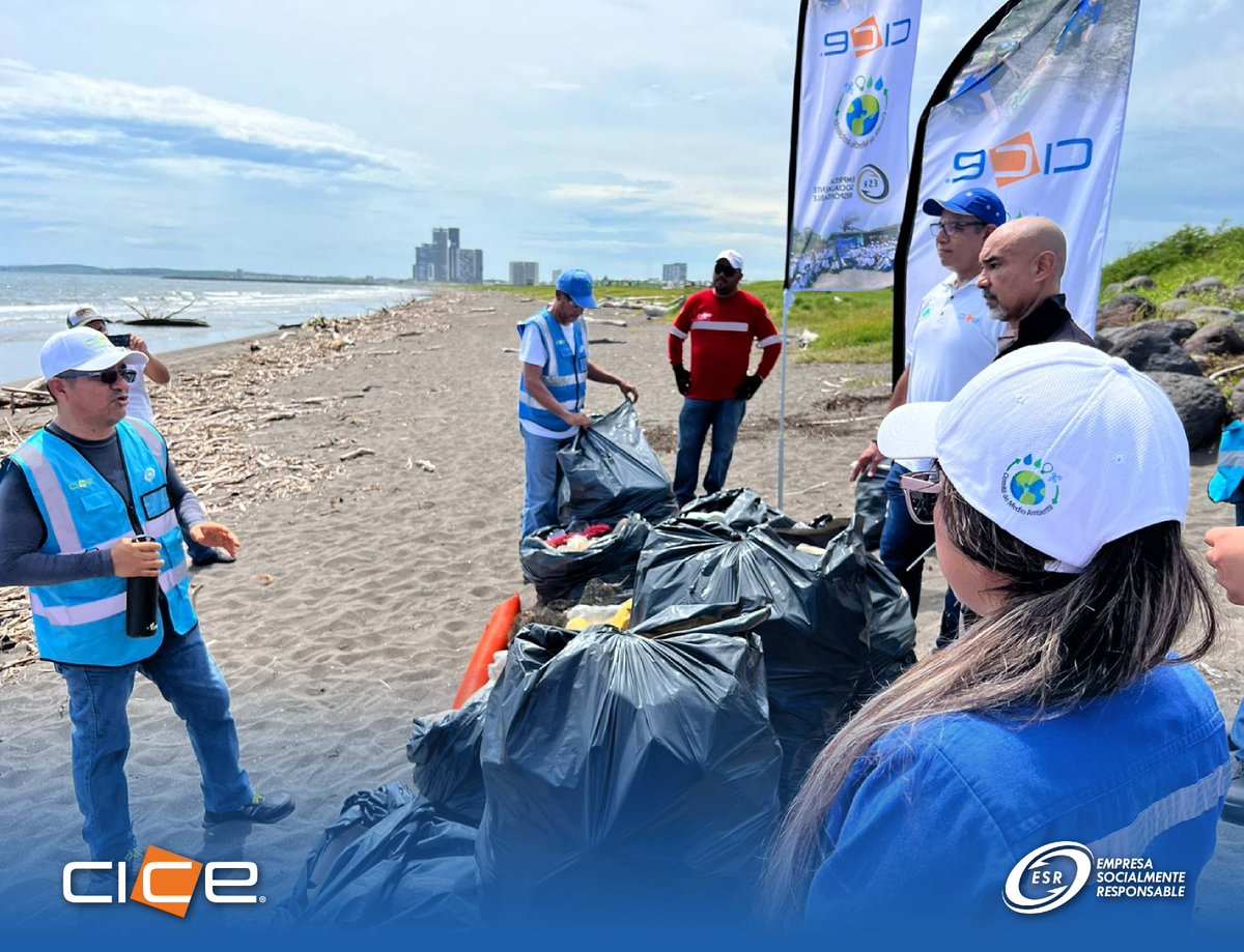 grupo_cice's tweet photo. En conmemoración al Día Internacional de la Limpieza de Playas, nos sumamos a la limpieza de la "Playa Isla del Amor" en #Veracruz. Nuestro Comité de Medio Ambiente, Promotores Ambientales y la Asociación #CoolPlanet, recolectaron 120 kg de residuos. #CICEpuede 👏 https://t.co/s25tGzmr6W