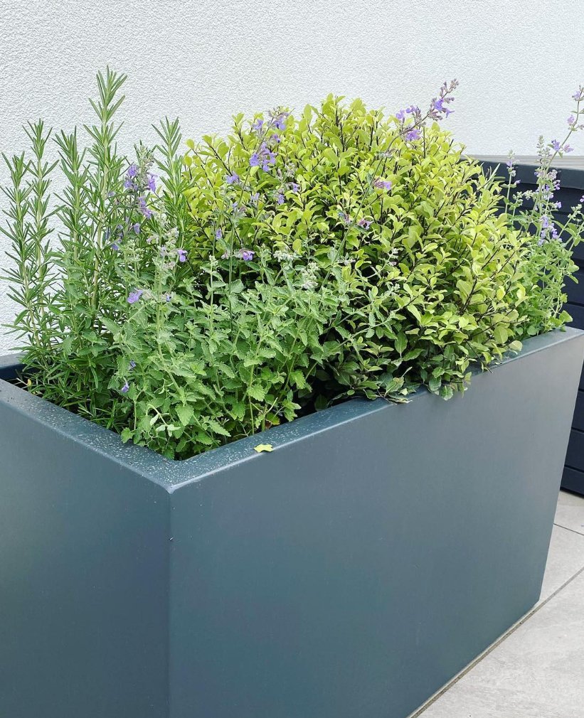 JustPlants's tweet photo. A few pictures from some recent planting projects...

Have a great day everyone! 

#plants #plantsinoffice #plantsmakepeoplehappy #plantlife🌱 https://t.co/UCeAk1bE1s