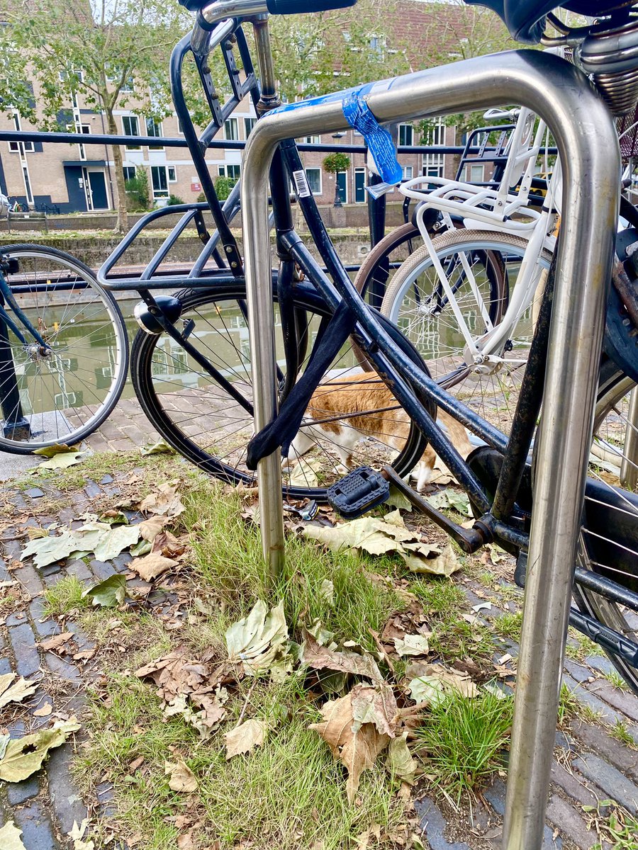 Ik hou van mijn stad #Utrecht #BemuurdeWeerd