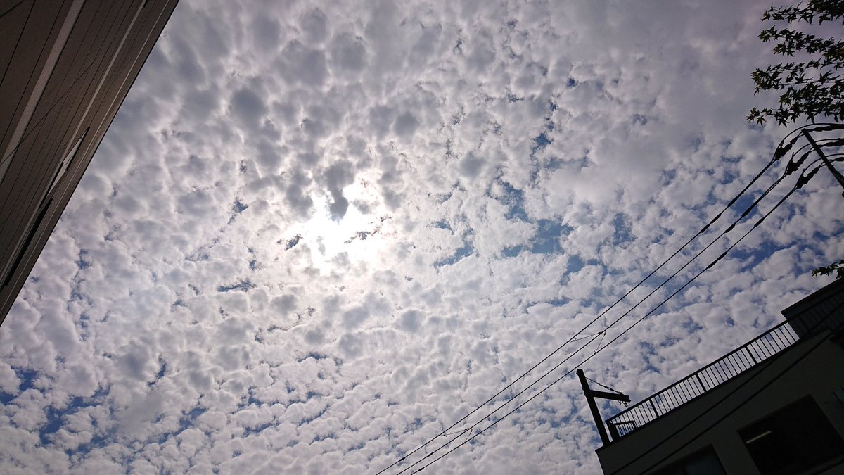 CatJ1013's tweet photo. ☁️☀️☁️😀 https://t.co/Hc2h4dGoH7