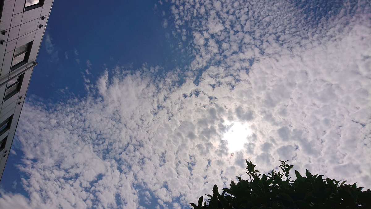 CatJ1013's tweet photo. ☁️☀️☁️😀 https://t.co/Hc2h4dGoH7