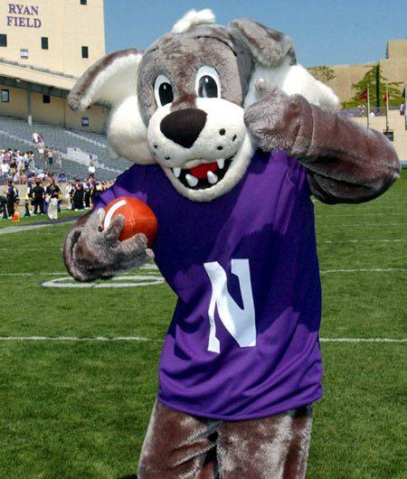 ECFL Northwestern Wildcats tweet media