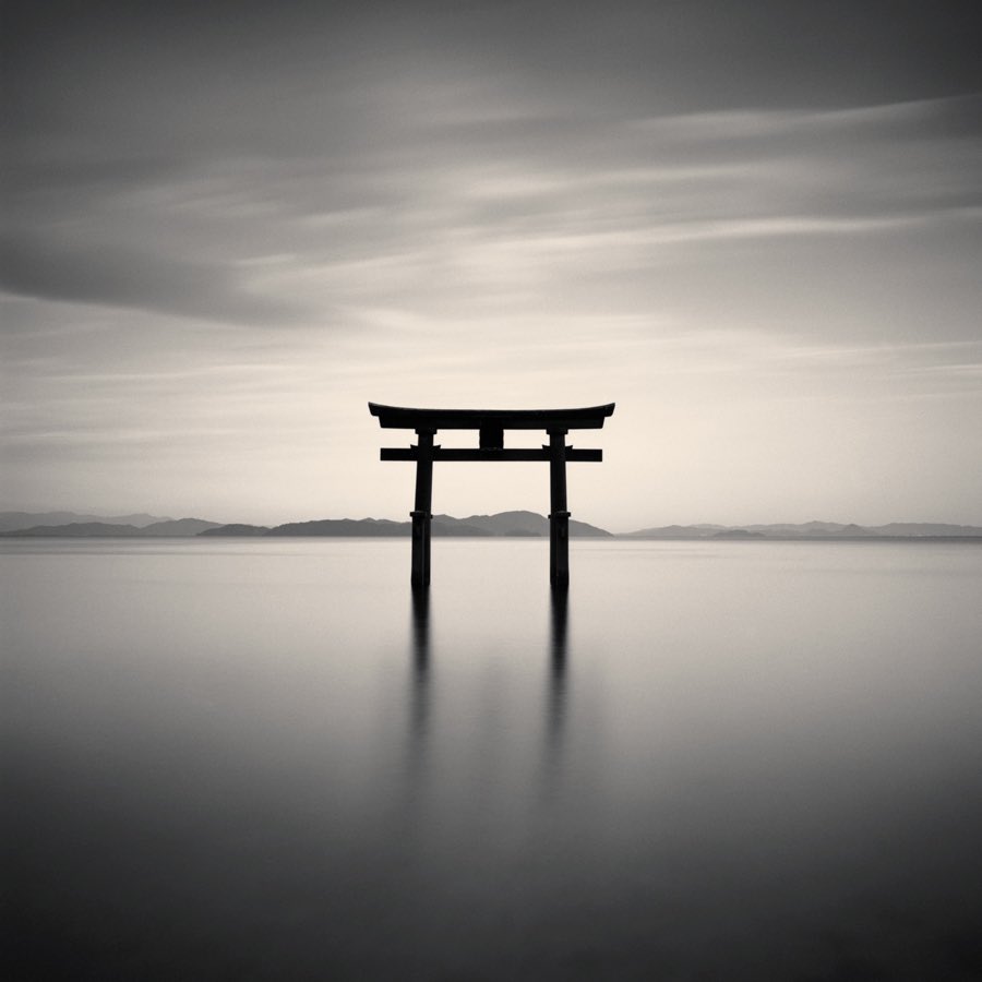 Torii Gate, Shirahige Shrine, Lake Biwa, Japan.

#hasselblad
#fujiacros
#lakebiwa 
#白鬚神社
#琵琶湖
@FujifilmUK