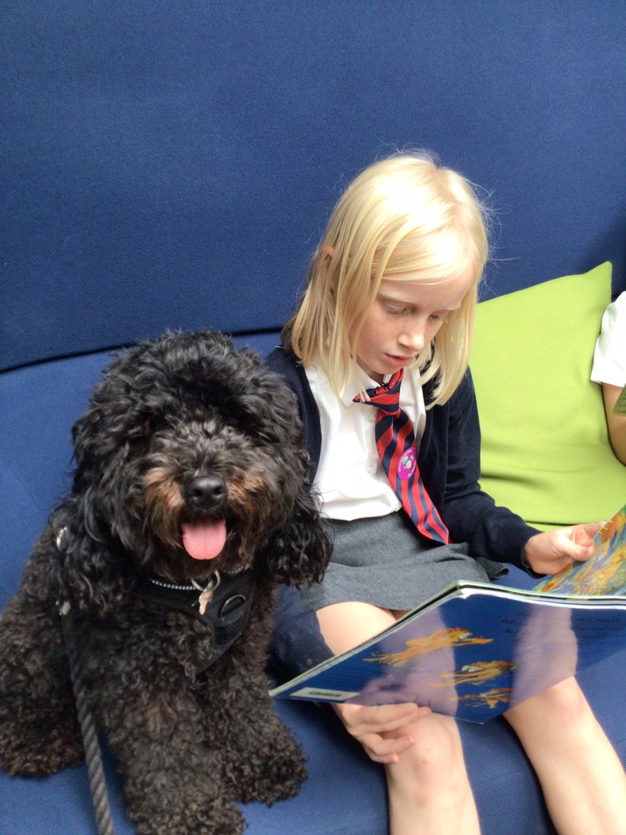 StKathsKent's tweet photo. Mylo’s Reading Club got off to a great start! https://t.co/abjPvqfQaM