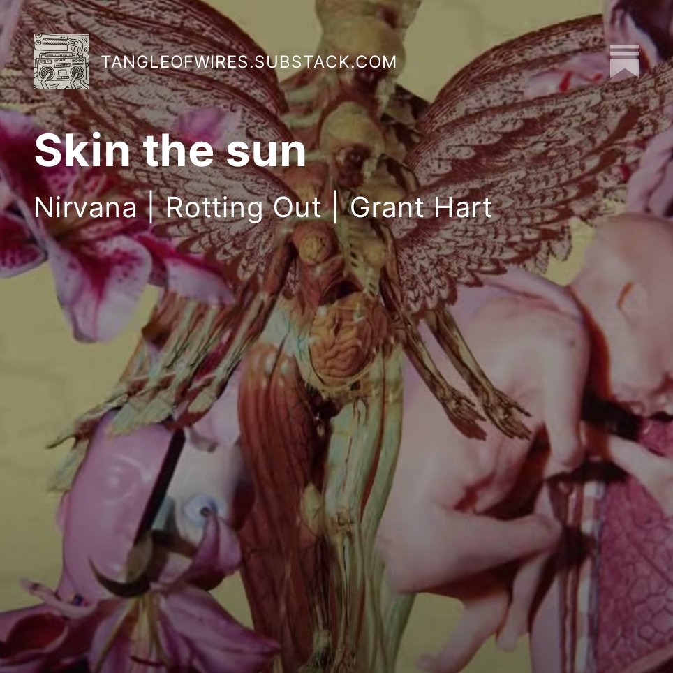 tangleofwires's tweet photo. Remembering In Utero by way of Nevermind 

https://t.co/CbLl4aeMWU https://t.co/vIxAfbxE9O