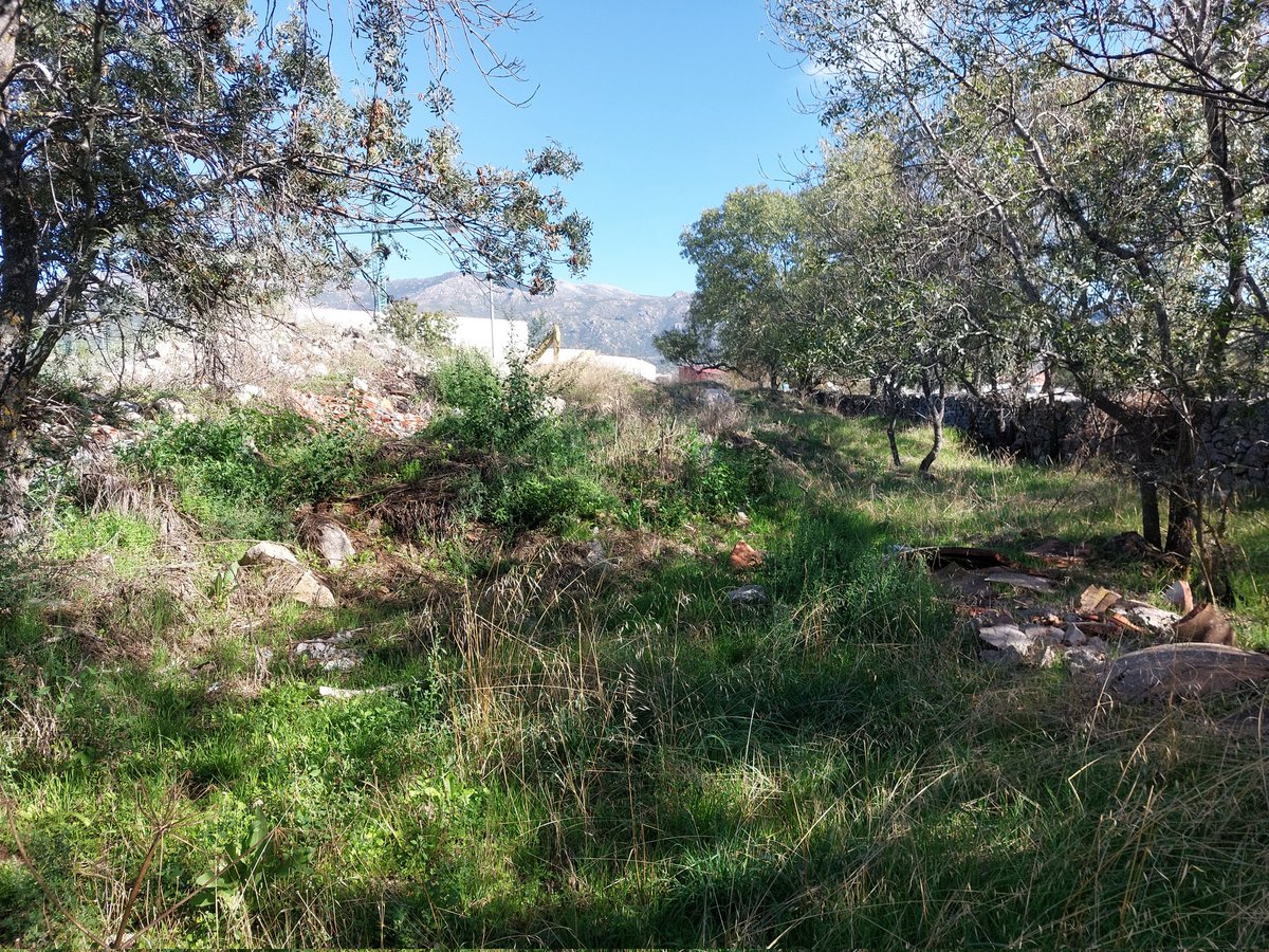 El comienzo del Camino de Capellanía, saliendo del Polígono, sigue estando como un vertedero. Por favor, se ruega limpieza de la zona y medidas para evitar más vertidos. #Moralzarzal.