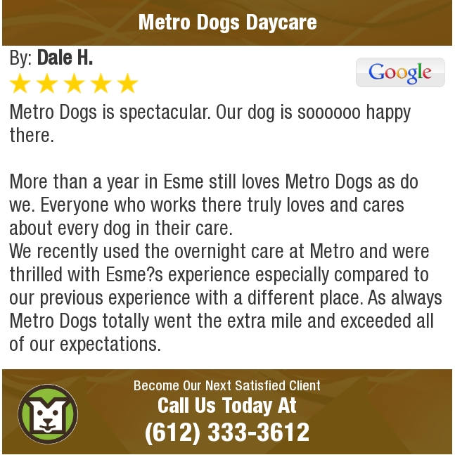MetroDogsMN's tweet photo. 5 Star: Dale H. "Metro Dogs is spectacular. Our dog is soooooo happy there.

More..." https://t.co/NQp2NKBM3A https://t.co/Ha8EOWPvjt