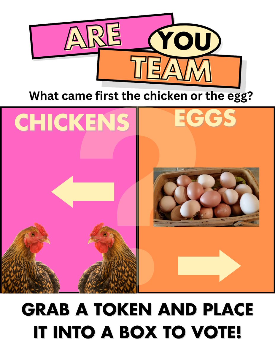 The library surveys have started! Are you team egg or chicken? <a href="/HiltonCSD/">Hilton CSD</a>