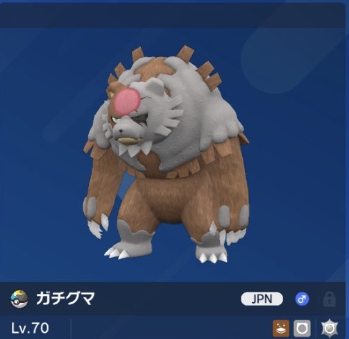RE__TANUKI's tweet photo. 🎁プレゼント企画第375回🎁

✅ムンボ　ガチグマ（アカツキ）

参加条件　フォロー&amp;RT

締切  10月1日（日）21時

#ポケモン
#ポケモン配布
#ポケモンSV https://t.co/kl2tXNbMML