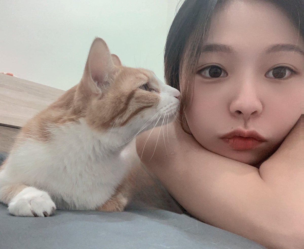 真是方向失了南北。美的有點東西