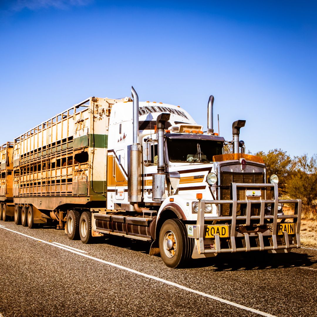 Cast-Tech Group tweet media