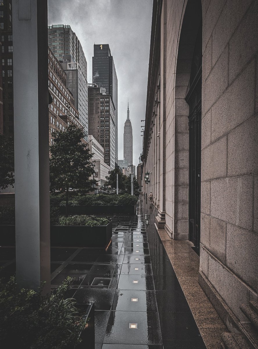 #fall #rain #rainyday #manhattan #nyc #newyorkcity #newyork #perspective #explorenyc #explorenyctoday #overcast #depthobsessed #wet #cold #teampixel #shotonpixel6pro #teampixel