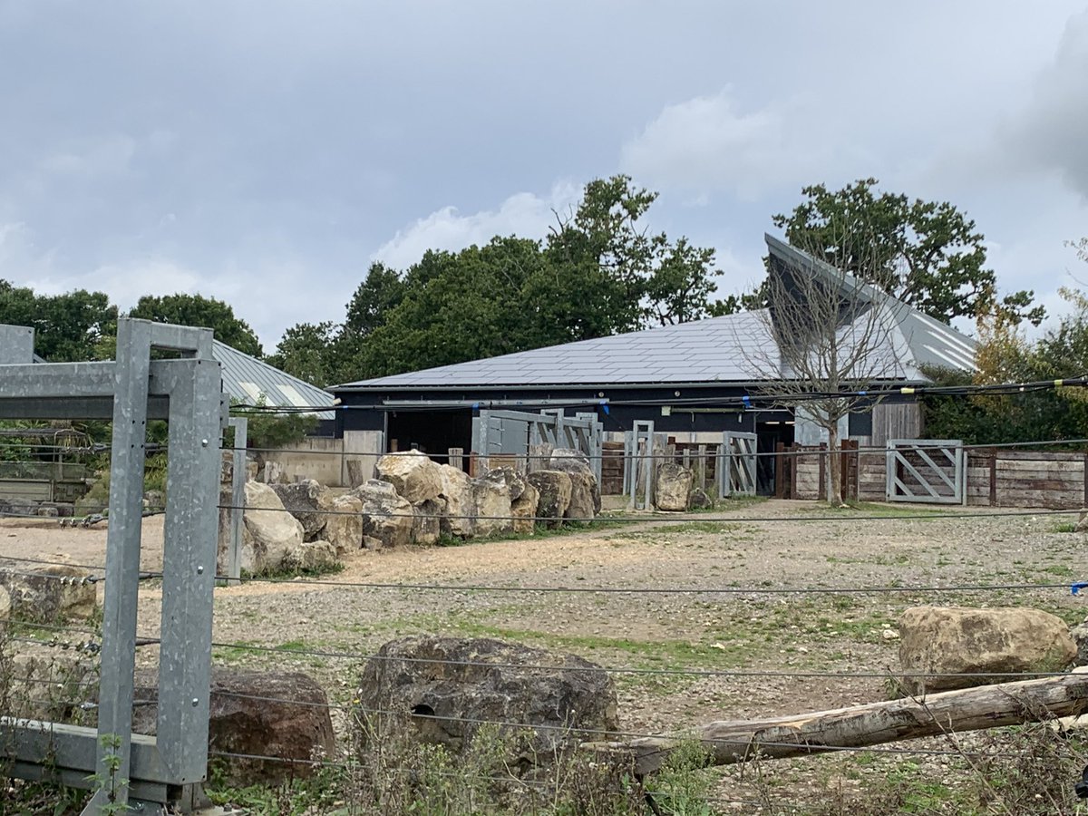 Andrew Sadler tweet media