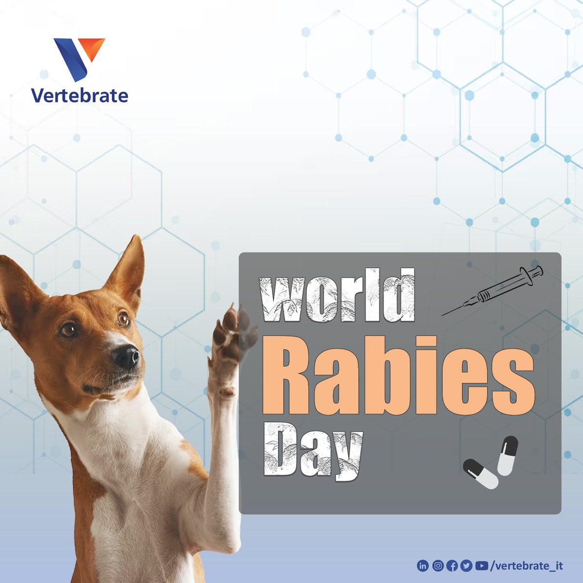 vertebrate_it's tweet photo. 🌟Join us on #WorldRabiesDay! Vertebrate IT is committed to a #RabiesFreeWorld. Together, we transform lives for a safer, better world.🌐🐾💪🏼💙 #vertebrate #vision2023 #future2024 #dog #Rabies #vizag #cityofdestiny #politics #digitalmarketing #website #development #mobileapps https://t.co/MfLfRtSX4H