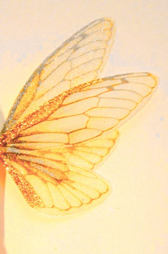FiggyCo's tweet photo. give your stress wings, and let it fly away.
#wilmingtonnc #wilmington #wilmy #shoplocal #wrightsvillebeach #cleanbeauty #wellness https://t.co/nwYDQaCFwZ