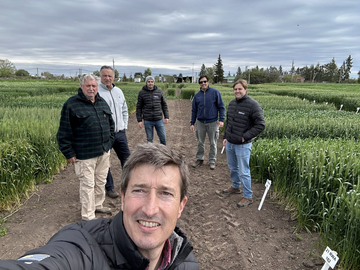 Cardinalseeds's tweet photo. Excelente recorrida del campo experimental de GyE- RAGT-Semillas Cardinal, preparando lo que va a ser una gran jornada el próximo 5 de octubre. https://t.co/nmFGZh5zrt