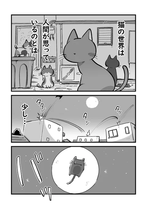 猫から見た猫の世界のお話(1/5) 