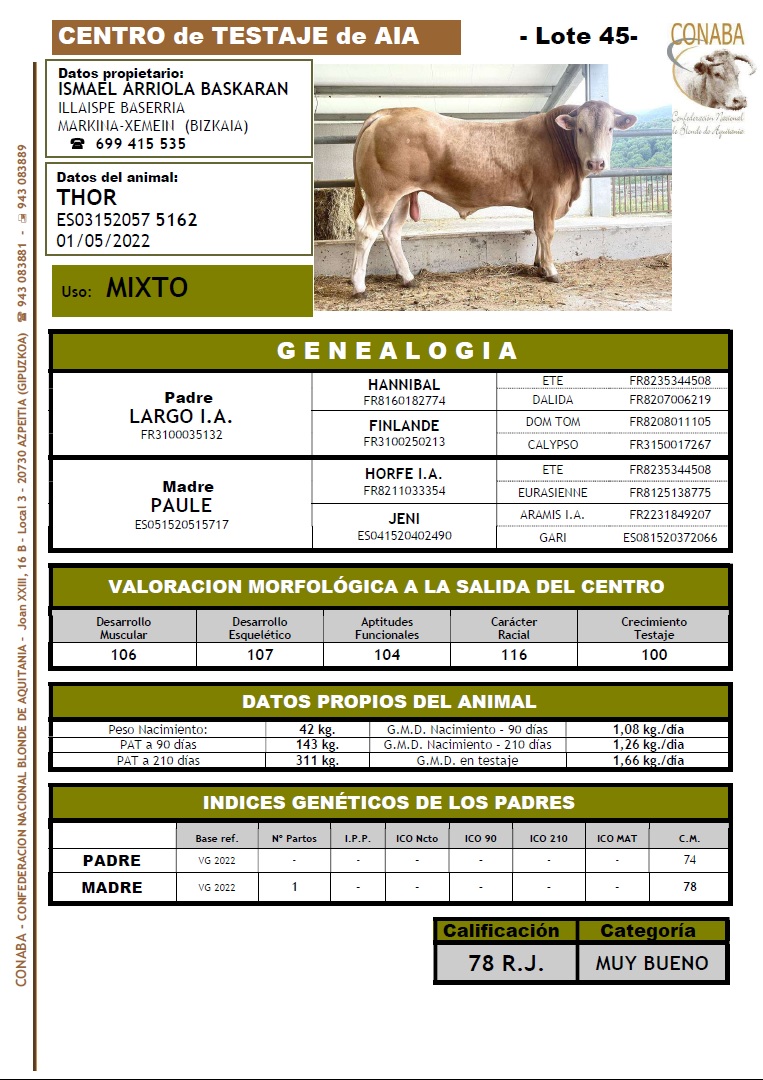 conabaoficial's tweet photo. Tenemos una buena noticia: ABEREKIN S.A. se ha hecho con el novillo THOR de la ganadería de Ismael Arriola, de Markina-Xemein. Seguramente más de uno lo recordaréis, porque en Salamanca, en el XV concurso nacional de la raza, fue proclamado como MEJOR MACHO del concurso. https://t.co/OoH7UZTwfr
