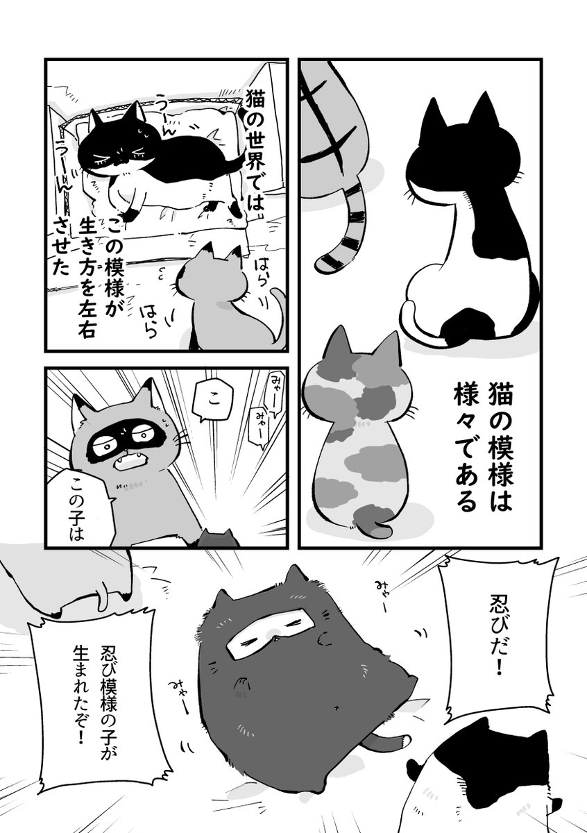 猫から見た猫の世界のお話(2/5) 
