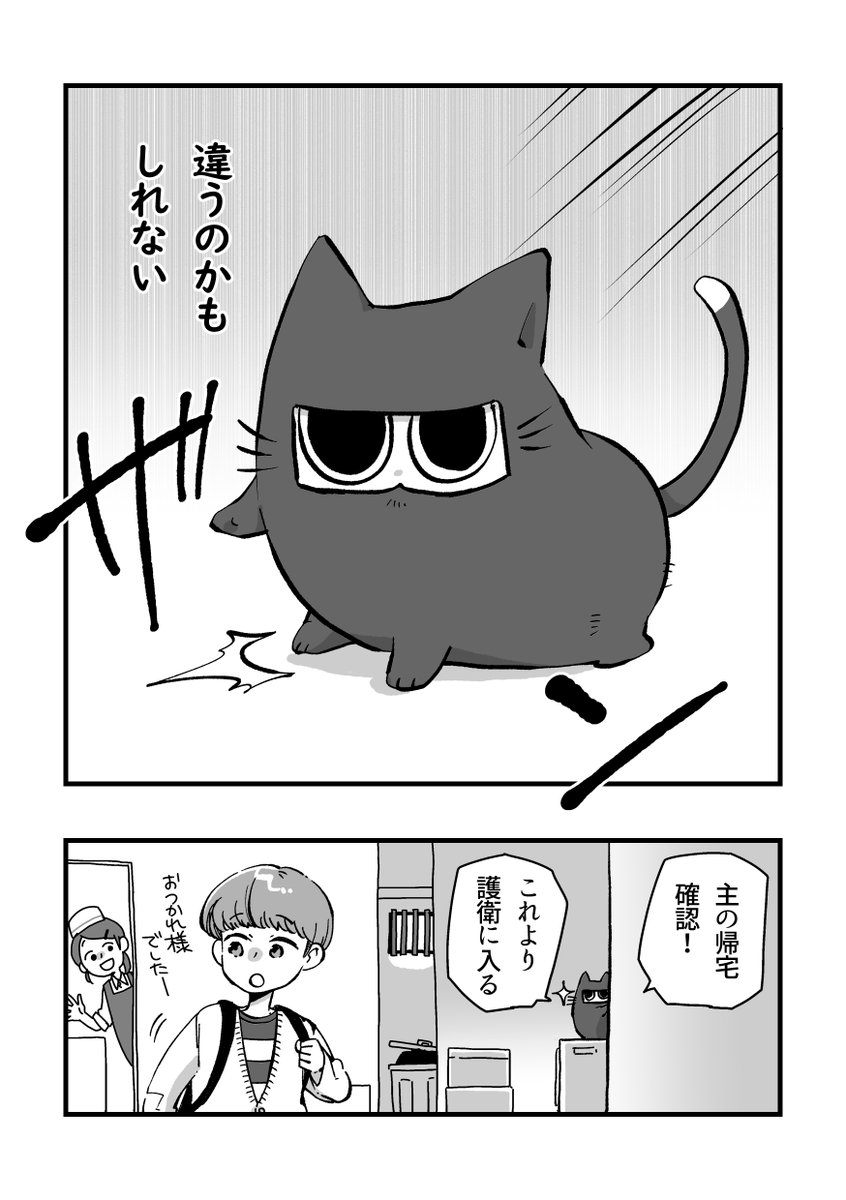 猫から見た猫の世界のお話(2/5) 