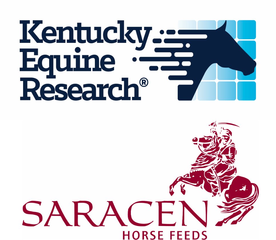 nickluck's tweet photo. In part two of our series with @kyequine/@SaracenTB, Dr Joe Pagan shares some fascinating figures & trends from the last 30 years relating to thoroughbred yearlings inc:

🐎 Growth of the TB
🐎 Yearlings from 🇬🇧 vs 🇺🇸
🐎 Relationship between size & sales price/track performance

https://t.co/VjXvmmYL6j