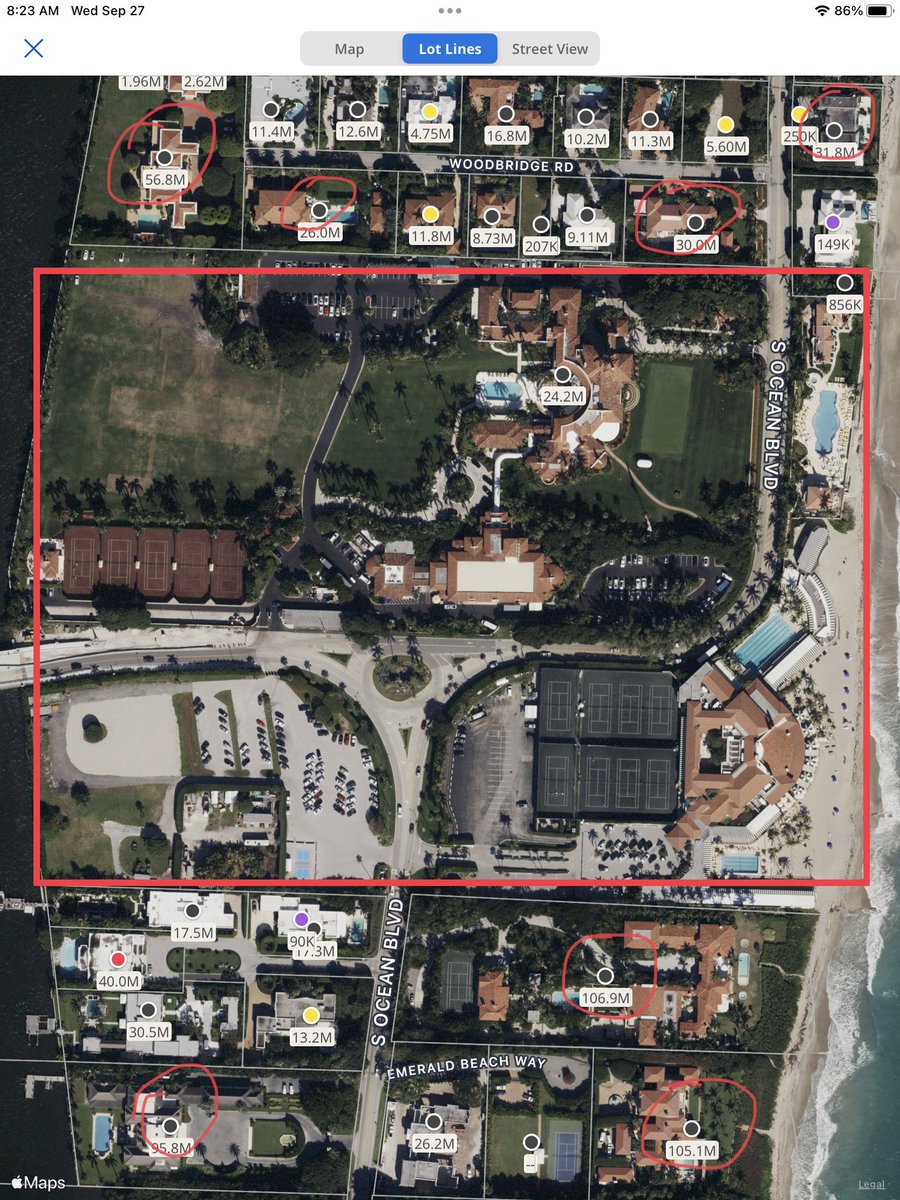 David Cross tweet media