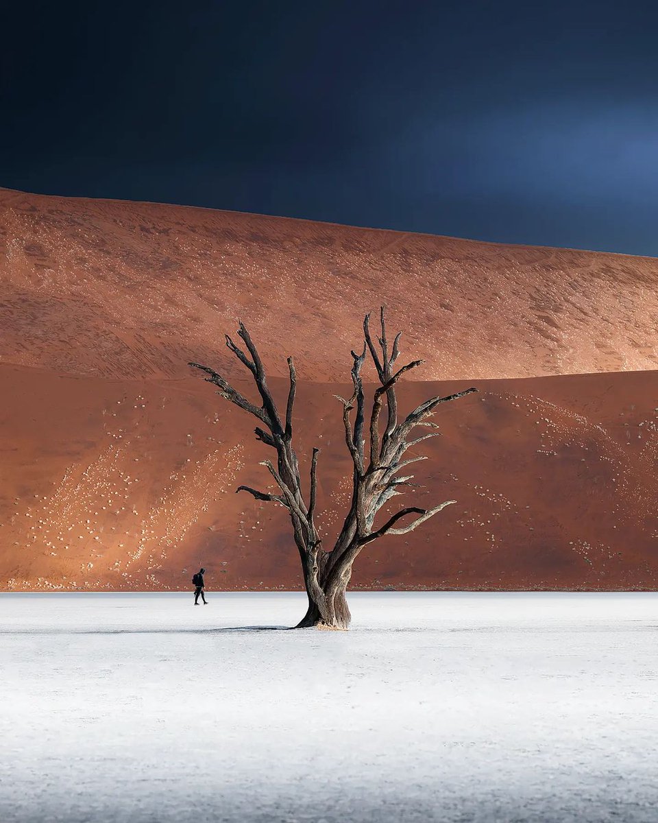 Deadvlei simplicity 📷© Sebastian Nagy